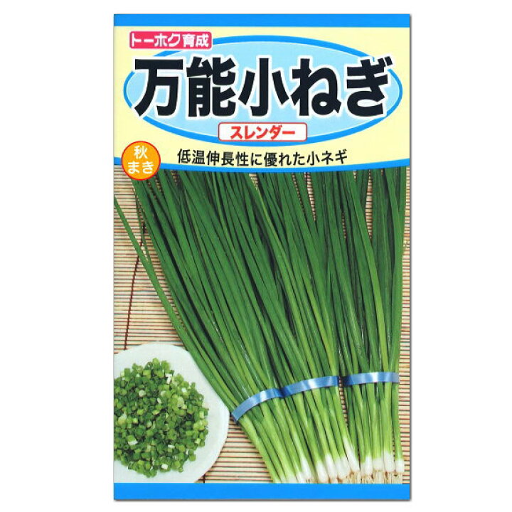 楽天市場 トーホク 万能小ねぎ スレンダー 種 秋まき用 プランター栽培 家庭菜園 細ねぎ 葉ねぎ ネギのタネ ガーデニングと雑貨の菜園ライフ