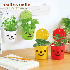 킢X}C|bgňĂ͔|Lbg X}CX}C@Iׂ4ށIoW ChXgx[ N[o[ q} CeAO[  킢 n[͔|Zb