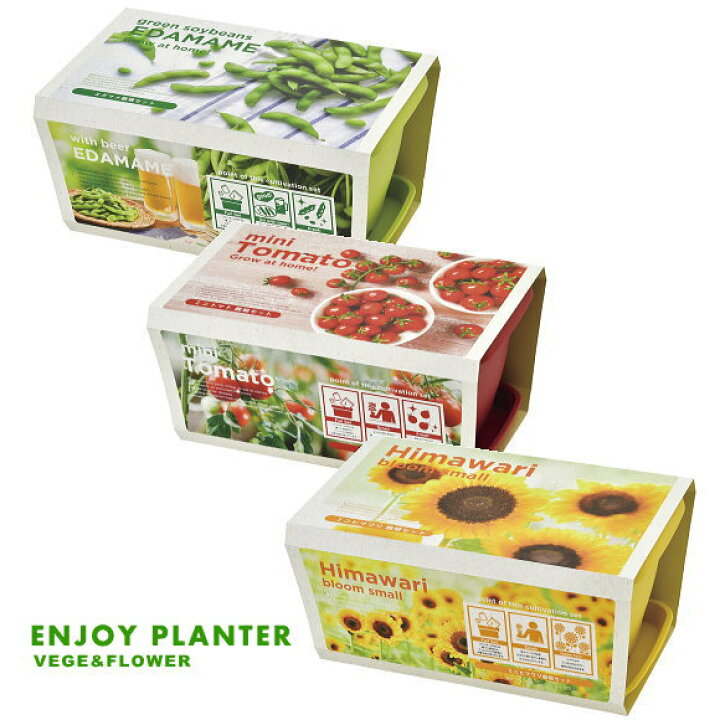 楽天市場 エンジョイプランター ベジ フラワー 可愛いプランターで育てる栽培セット 選べる3種類 ミニトマト エダマメ ミニヒマワリ インテリアグリーン おしゃれ かわいい 栽培キット 家庭菜園 おうち菜園 ガーデニングと雑貨の 菜園ライフ
