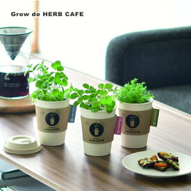 育てるカフェ Grow de HERB CAFE ハーブ栽培キット D985 インテリアグリーン おしゃれ かわいい 栽培キット マグカップ 家庭菜園 おうち菜園