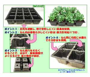 楽天市場 セルボックス 25穴 黒 10枚セット 野菜 花のタネまき 育苗に セルトレー セルトレイ 苗を作るトレー 育苗 種まき資材 家庭菜園 ガーデニングと雑貨の菜園ライフ