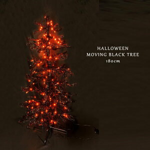 nEB [rO ubNc[ 180cm SA2008 nEB  z[ fBXvC | X  Cxg p[eB