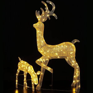 NX}X fbNX`[t giJC 25488 NX}XC~l[V 3D `[tCg    giJC X fBXvC d   킢