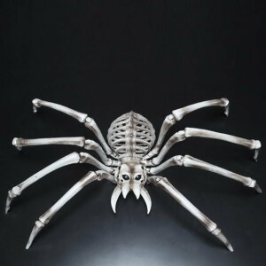 nEB WCAg{[XpC_[ 82cm nEB  HW1416 z[ N@w偁@XPg KCRc  Xܑ  Cxg p[eB z[fR[V ObY