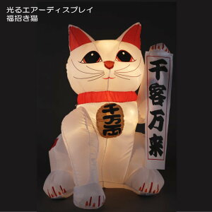 IGA[fBXvC L 疜 TCY 215cm  1048 킢 GAu[ GA[uE Xܑ Cxg SNSf J^ ɐ ܂˂˂