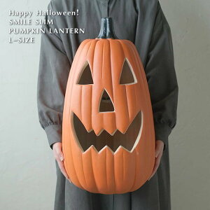 X}CXpvL^L 56cm LED dr 627 nEB  nEBC~ ڂ IuWF u nEB[ HALLOWEEN X}C 킢  WbNI[^ C