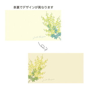 y10ZbgzMtgbZ[WJ[h ʈ ~U2 5305 t lC 킢    Mtg v[g ̓ for you 2{ח\