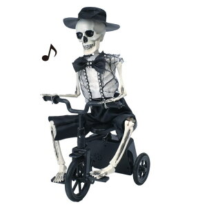 Vi nEB z[V[Y KCRcO֎   KCRc HW674 nEB  z[ fBXvC X  Cxg p[eB z[fR[V ObY 