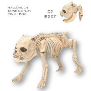 nEB XJhbO 540 nEB  z[ fBXvC Ck   | X  Cxg p[eB z[fR[V ObY