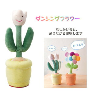 ǂ`[bv 5315 _VOt[  qǂ ǂ 킢 l` ʂ X}Ct[ v[g Ǝ u[P w aj o[Xf[ j 