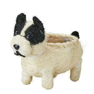 Ђ܂Aj}|bg t`uhbO 5392 ԍ t[AWg  CeA  킢    ~j|bg Aؔ  ͂