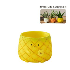 gW|bg ؐAV[Y pCibv 5153 ԍ t[AWg  CeA  킢    Aؔ  ͂ t[c ₳