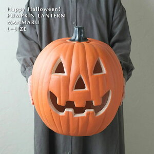 ܂܂pvL^L 46cm LED dr 625 nEB  C~ ڂ IuWF u  nEB[ HALLOWEEN X}C 킢  WbNI[^ Cxg  