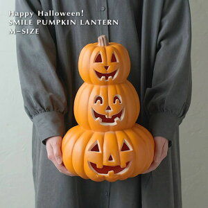 X}C3ApvL^ MTCY 34cm dr LED HW630 nEB  WbNI[^ ^ 킢   |[` ڂ  IuWF u fR[V Ob