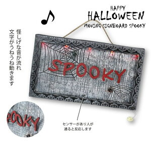 InEB [rO TC{[h SPOOKY 537nEB  z[ fBXvC Xܑ |  Cxg p[eB z[fR[V ObY