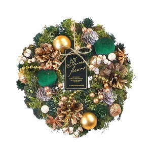 NX}X i`[X C [KO[ 20cm STCY 1686C NX}X[X Ǐ  ~j 킢    Mtg v[g VRf 