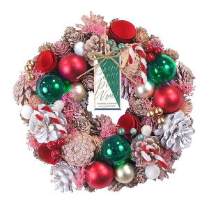 NX}X i`[X gC{bNX LfBPC 24cm MTCY 1689B NX}X[X Ǐ  lC  킢    Mtg v[g VRf 