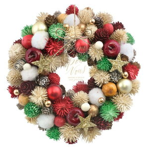 NX}X i`[X I[ht@bVhzf[|bv 24cm MTCY 1619B NX}X[X Ǐ  lC  傫 킢    Mtg v[g 