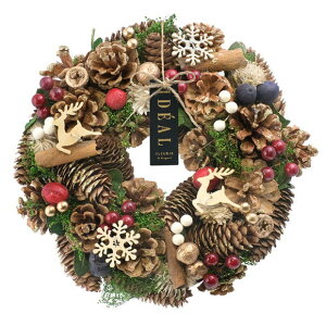 NX}X i`[X uEtHXg2025 25cm MTCY VRf 1614B NX}X[X Ǐ  lC  傫 킢    Mtg v[g 