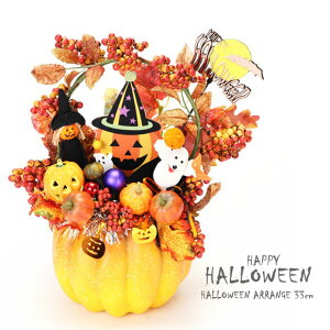 nEBAW 33cm  H CeA AW nEB  Xܑ 킢  ڂ