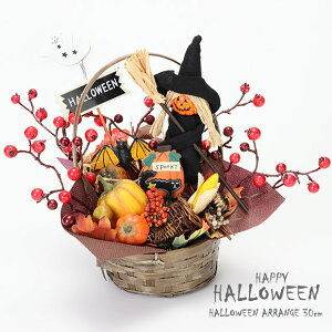 nEBAW 30cm  H CeA AW nEB  Xܑ 킢  ڂ