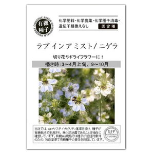 u C A ~Xg jQ  A554 L@q Œ O[tB[hvWFNg ƒ؉ I[KjbN L@͔|  ^l hCt[