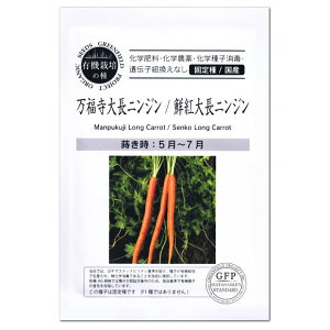 jW 咷jW Ng咷jW  A726 L@q Œ O[tB[hvWFNg ƒ؉ I[KjbN L@͔| Lbg lQ ɂ񂶂  ^l