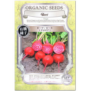 r[c r[g `IMA  A433 L@q Œ O[tB[hvWFNg ƒ؉ I[KjbN L@͔|  ^l