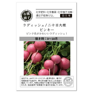 fBbV \卪 sL[  A583 L@qEŒ O[tB[hvWFNg ƒ؉ I[KjbN L@͔| ncJ_CR ͂  ^l