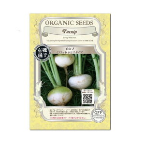  tbgJu^Cv  A028 L@q Œ O[tB[hvWFNg ƒ؉ I[KjbN L@͔|   ^l