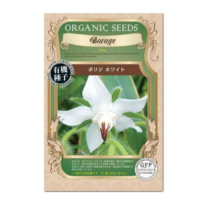 {W zCg  A641 L@q Œ O[tB[hvWFNg L@͔|  ^l q K[fjO Hp GfBut[ K[f n[u