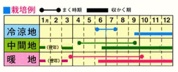 141円 世界の人気ブランド 種子 処分 サクサク王子ネオ R つるなしいんげん 1dl サカタのタネ 22.09 ゆうパケット2cm以下便可能 141円 世界の人気ブランド 種子 処分 サクサク王子ネオ R つるなしいんげん 1dl サカタのタネ 22.09 ゆうパケット2cm以下便可能