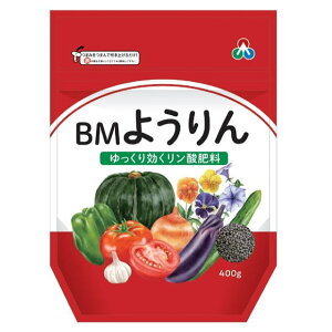  BM悤@400g ƒ؉ v^[p p엿  | K[fjO  엿 _엿