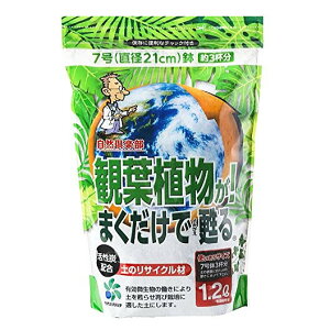 ϗtA܂S ỹTCN 1.2L RpȊw | K[fjO Đ yǍ v^[ yĐ
