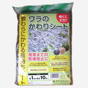 ̂V[g 1m×10m  m K[fjO | rj[V[g }`V[g ƒ؉p c