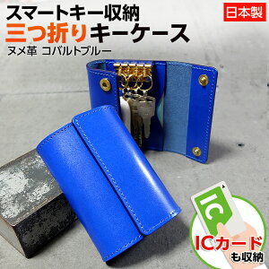 N[i kv Rogu[ O܂L[P[X 4A  pXP[X J[hP[X ʋ ʊw {v J[h X}[gL[P[X {