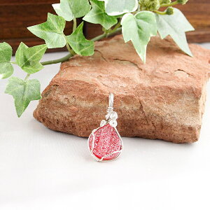 p[Xg[ lbNX y_ggbv y_gwbh fB[X Y VR hW[ AQ[g }`J[ylԊ֌WzANZT[ ANZ J^ AZV Fƌq