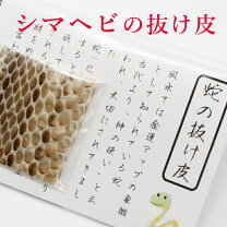 楽天市場】金運 蛇の抜け殻の通販