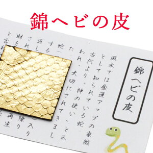 jVLwr pC\̔ F z ɂւ ɂ   S[h  J^ObY ^Abv ^@z J^F ^z z ^ ^AbvF ^UPF  Ob