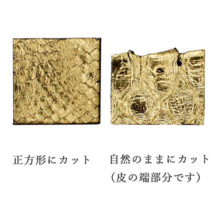 開運祈願 全面ニシキ蛇長財布 【クリア】開運祈願 全面ニシキ蛇長財布