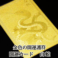 【白蛇】ゴールド 開運カード 開運グッズ 金運カード 金運アップ 金運　財布 開運祈願 金運財布 長財布 …