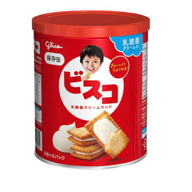 賞味期限2030.08 グリコ ビスコ保存缶 30枚入り 1缶 (防災備蓄の倉庫番 災害対策本舗)