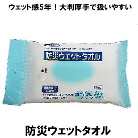 防災ウェットタオル ノンアルコールタイプ 20枚入り 有効期限：2029年11月09日 (メール便可：2個迄) (コンビニ受取可) (防災備蓄の倉庫番 災害対策本舗)