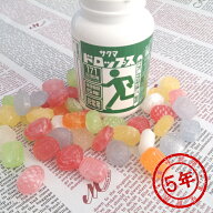 賞味期限2031.02 サクマ 非常災害用ドロップス 5年保存 (防災備蓄の倉庫番 災害対策本舗)
