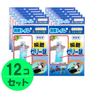 ^b`gуgC 12Zbg jp/p (hД~̑qɔ ЊQ΍{)