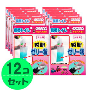 ^b`gуgC 12Zbg jp/p (hД~̑qɔ ЊQ΍{)