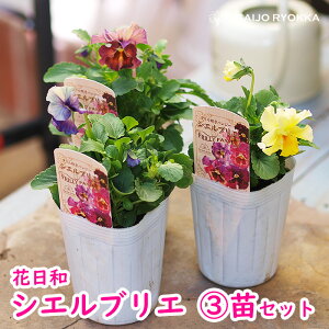 yԕczpW[ VGuG C3POT y~̉ԒdczytzyNX}X₨ʂԕczyAiz