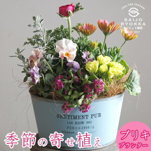 |X̃uL̊񂹐A Mtg N yt̊񂹐AzykCEEkszA Iׂ锫 v[g t  H ~ ցyjz yaz yV