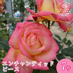 \oc o CA G`eBbh s[X c 7 sNn HT KNc ΂c o c Ay kCꔭsz