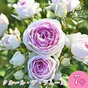 \oc fo[ N[ f [ c 7 sNn POT KNc ΂c o c Ay kCꔭsz